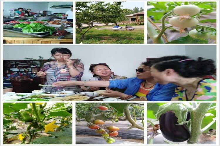 微信图片_20170521120603.jpg